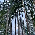 Holiday home Eichenseer - Alleinlage Mit Garten, Wald & Weitblick