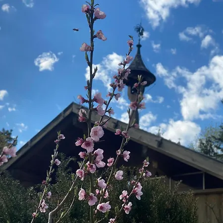 Eichenseer - Alleinlage Mit Garten, Wald & Weitblick * Gallzein