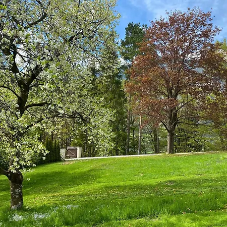 Eichenseer - Alleinlage Mit Garten, Wald & Bergblick Gallzein