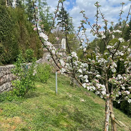 Eichenseer - Alleinlage Mit Garten, Wald & Bergblick بيت للعطل Gallzein