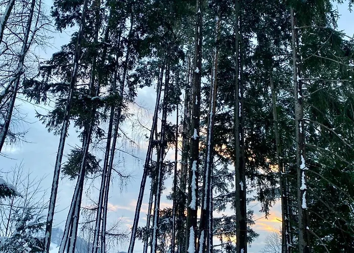 別荘 Eichenseer - Alleinlage Mit Garten, Wald & Weitblick Gallzein