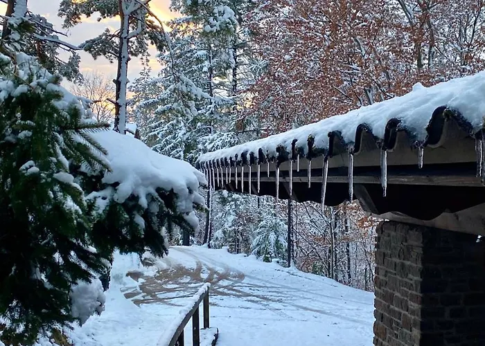 Eichenseer * Gallzein