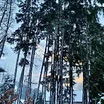 بيت للعطل Eichenseer - Alleinlage Mit Garten, Wald & Weitblick Gallzein