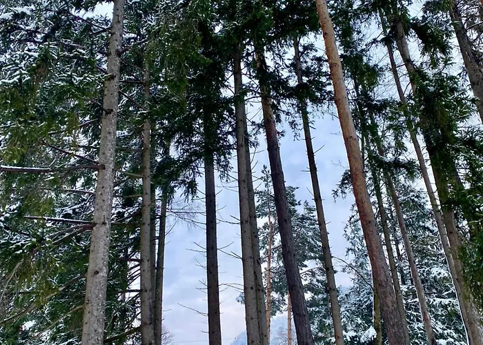 Semesterbostad Eichenseer - Alleinlage Mit Garten, Wald & Weitblick