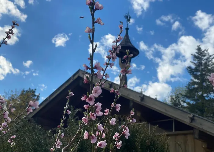 Eichenseer - Alleinlage Mit Garten, Wald & Weitblick * Gallzein